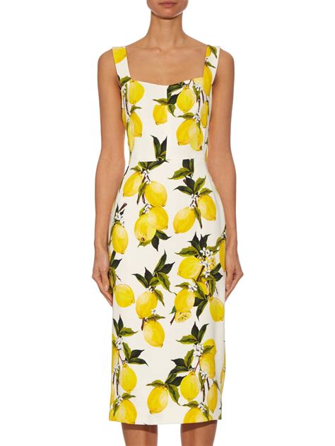 dolce and gabbana lemon dress.